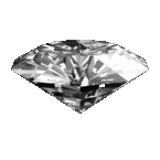 steven36
