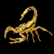 shwescorpion