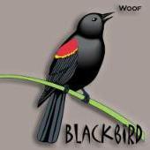 Blackbird52