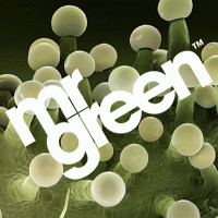 MrGreen
