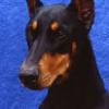 dobi3