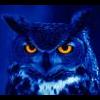 Night Owl
