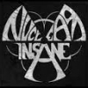 ThE iNsAnE
